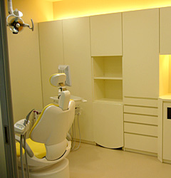 ���S���̓��f��